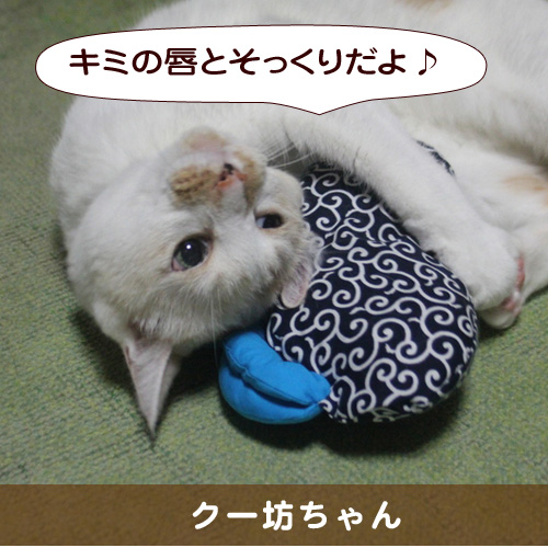 20150316_touko.jpg