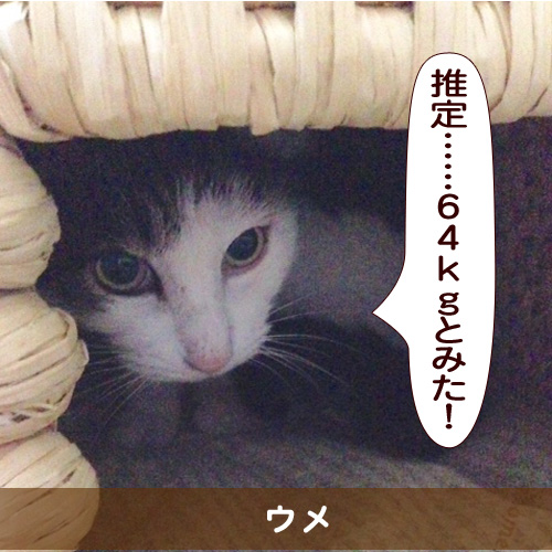 20150317_touko.jpg