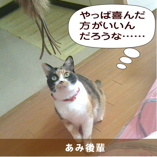 20150318_touko.jpg
