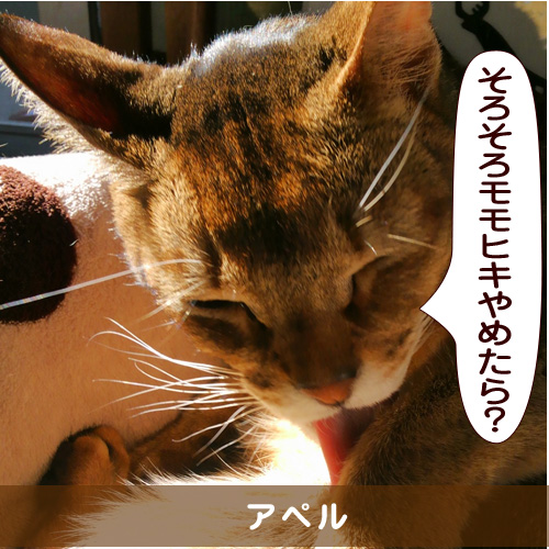20150319_touko.jpg