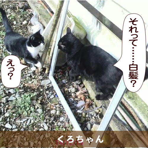20150320_touko.jpg