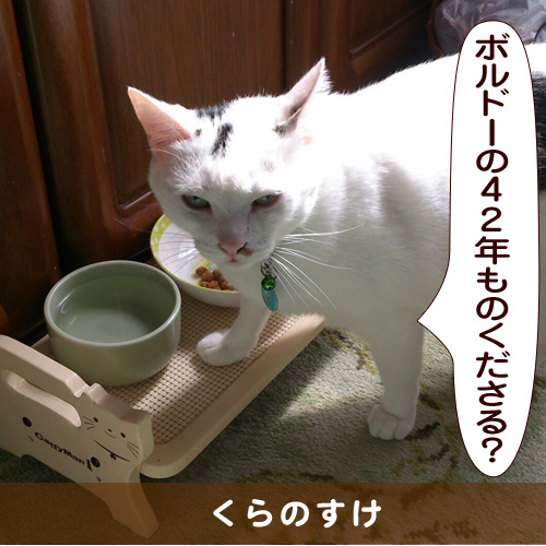 20150321_touko.jpg