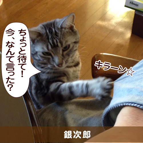 20150325_touko.jpg