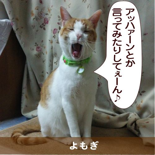 20150328_touko.jpg