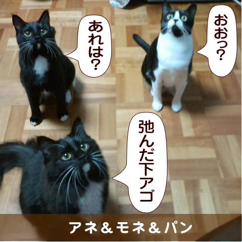 20150330_touko.jpg