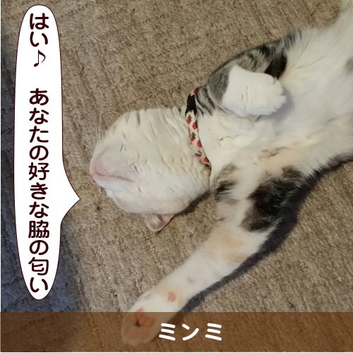 20150403_touko.jpg