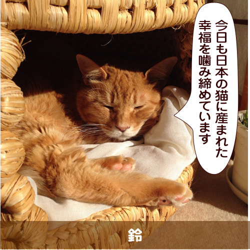 20150405_touko.jpg