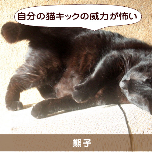 20150406_touko.jpg