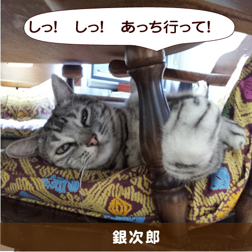 20150407_touko.jpg