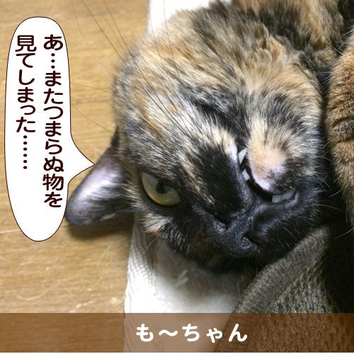 20150410_touko.jpg