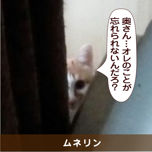 20150412_touko.jpg