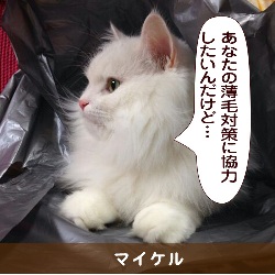 20150413.jpg