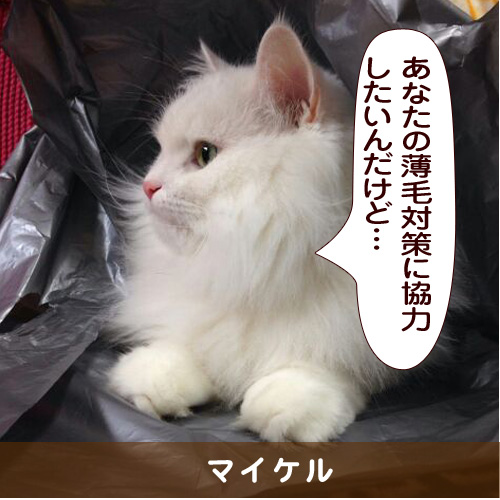 20150413_touko.jpg
