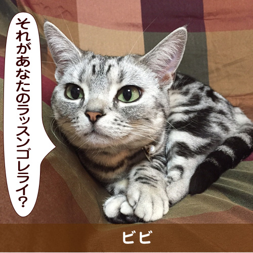 20150414_touko.jpg
