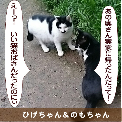 20150415_touko.jpg