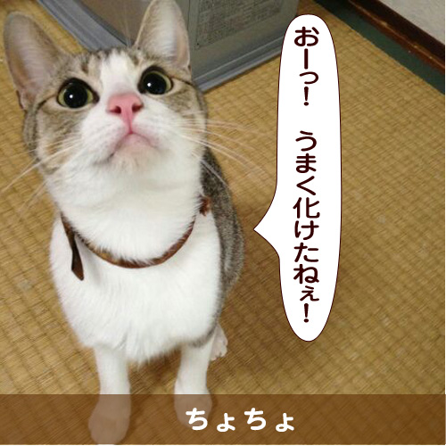 20150417_touko.jpg