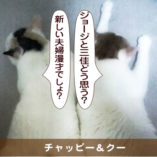 20150418_touko.jpg