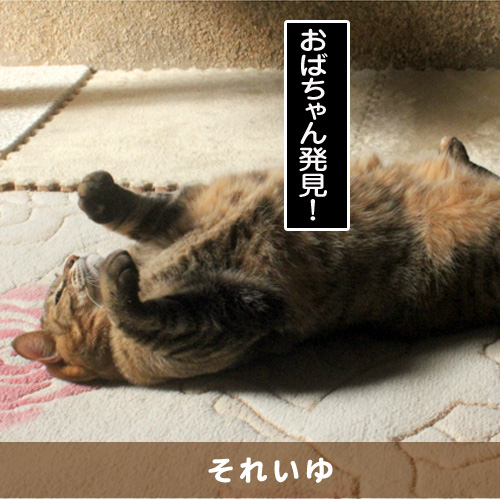 20150420_touko.jpg