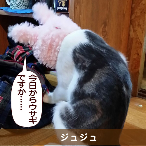 20150421_touko.jpg