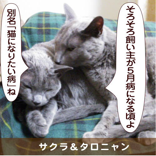 20150422_touko.jpg