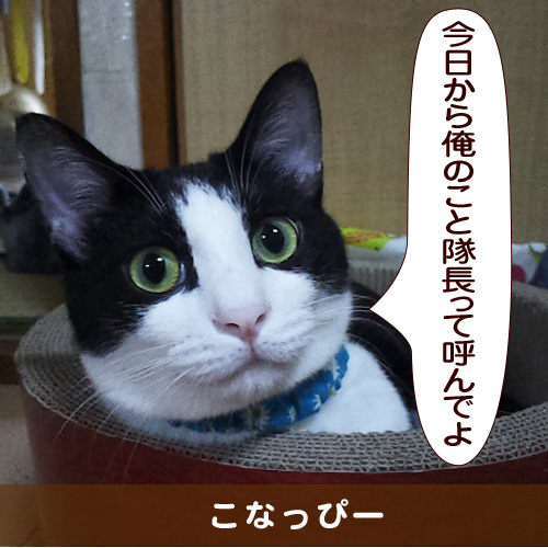 20150423_touko.jpg
