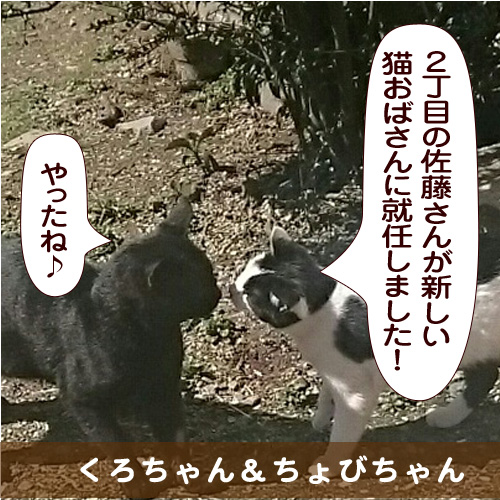 20150424_touko.jpg