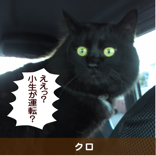 20150426_touko.jpg