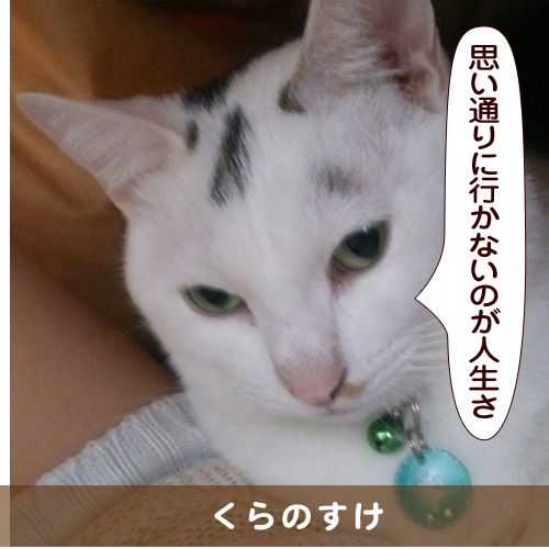 20150427_touko.jpg