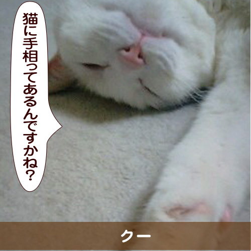 20150429_touko.jpg