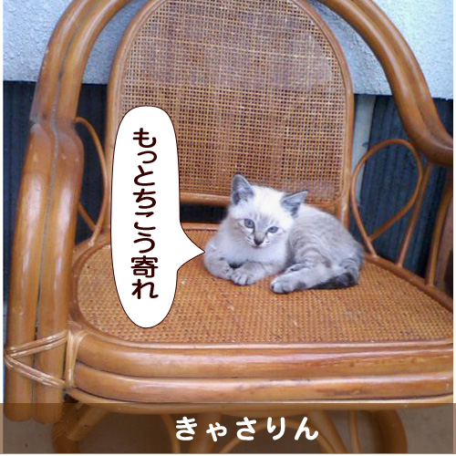 20150430_touko.jpg
