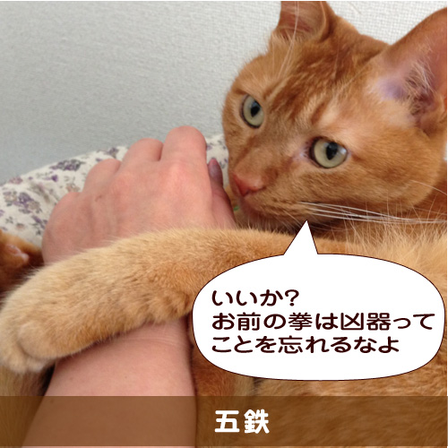 20150501_touko.jpg