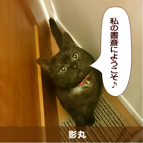 20150503_touko.jpg