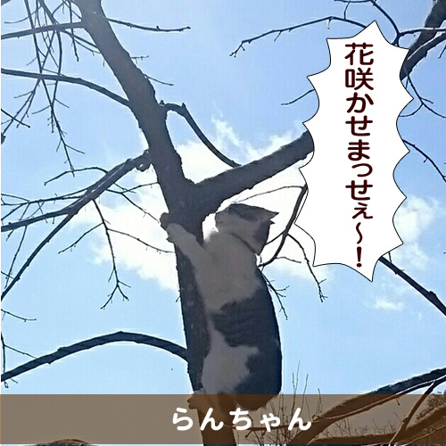 20150504_touko.jpg