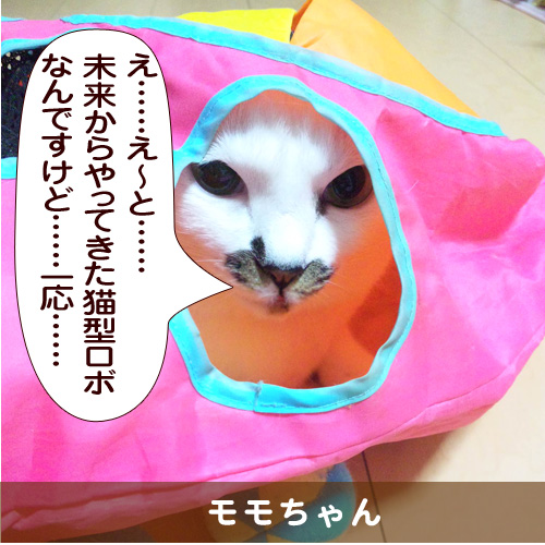 20150505_touko.jpg