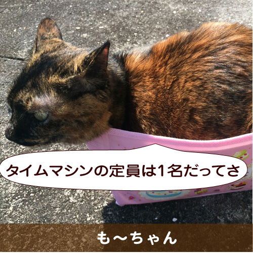 20150506_touko.jpg