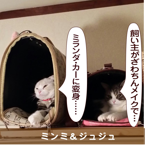 20150507_touko.jpg