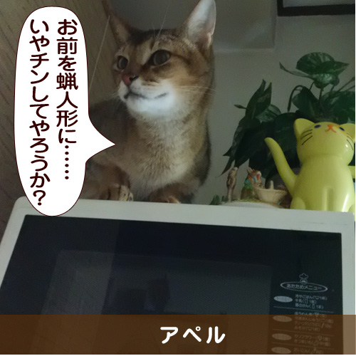 20150509_touko.jpg