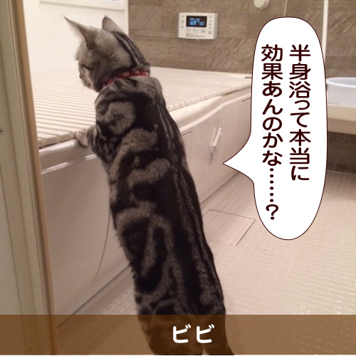 20150510_touko.jpg
