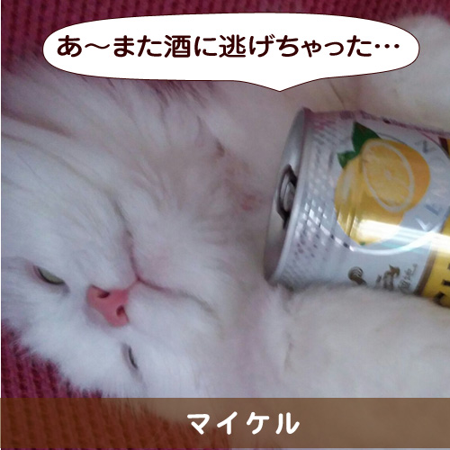 20150511_touko.jpg