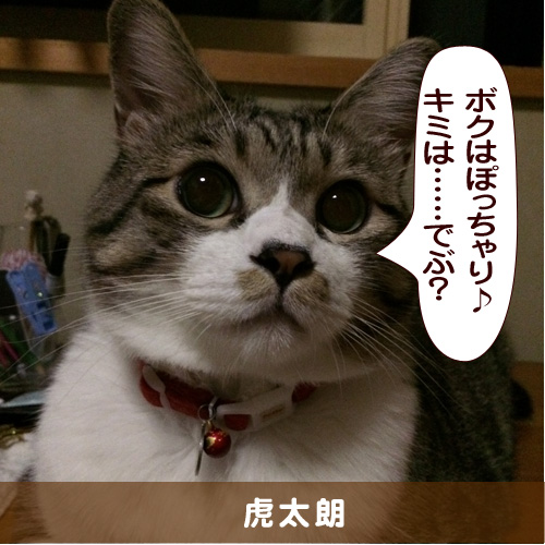 20150512_touko.jpg