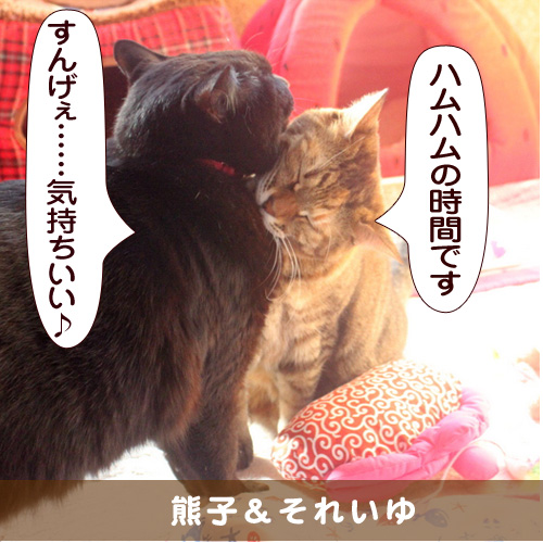 20150513_touko.jpg
