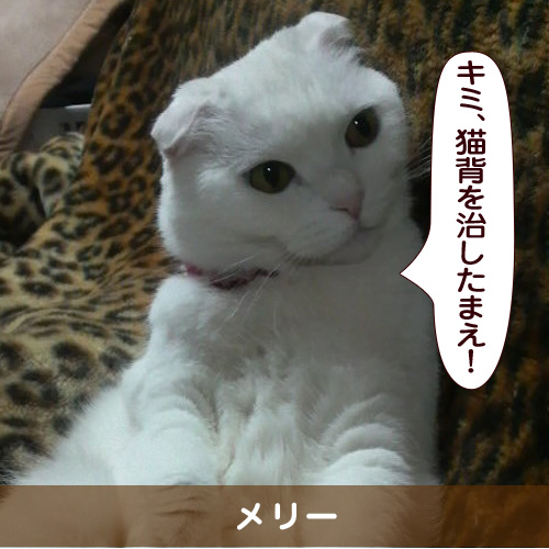 20150515_touko.jpg