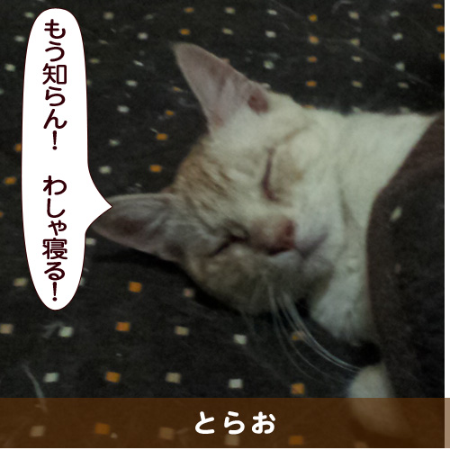 20150516_touko.jpg