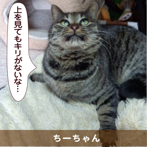 20150517_touko.jpg