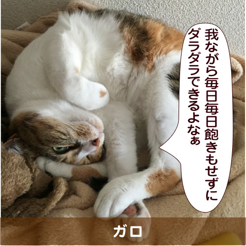20150518_touko.jpg