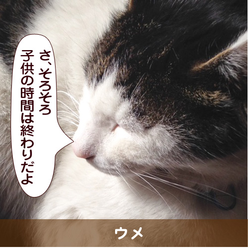 20150519_touko.jpg