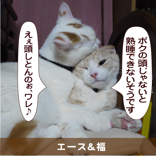 20150520_touko.jpg