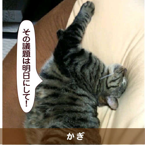 20150521_touko.jpg