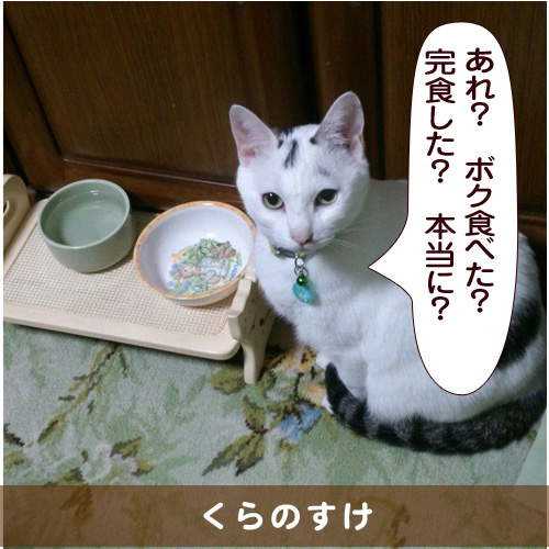 20150523_touko.jpg