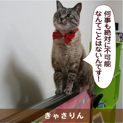 20150524_touko.jpg